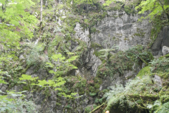 DSCN4797