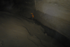 DSCN6262
