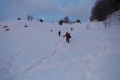 DSCN7775